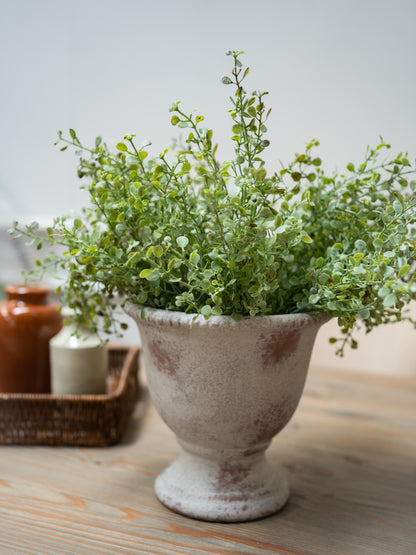 Faux green gunnii eucalyptus in a rustic white pot on a wooden surface with a neutral background