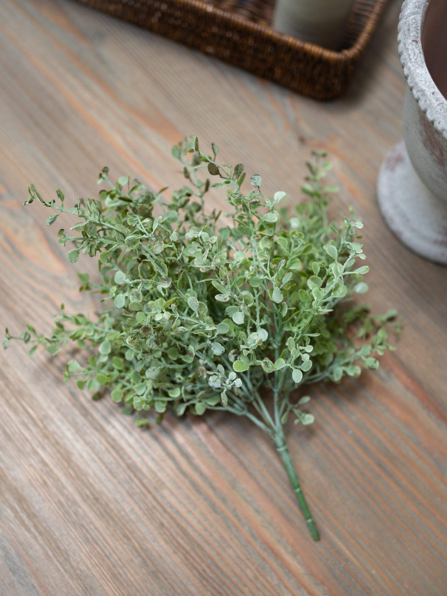 green gunnii artificial plant on a wooden surface