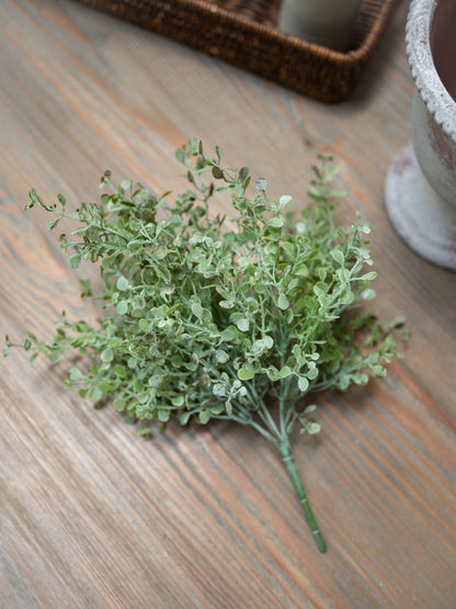 green gunnii artificial plant on a wooden surface