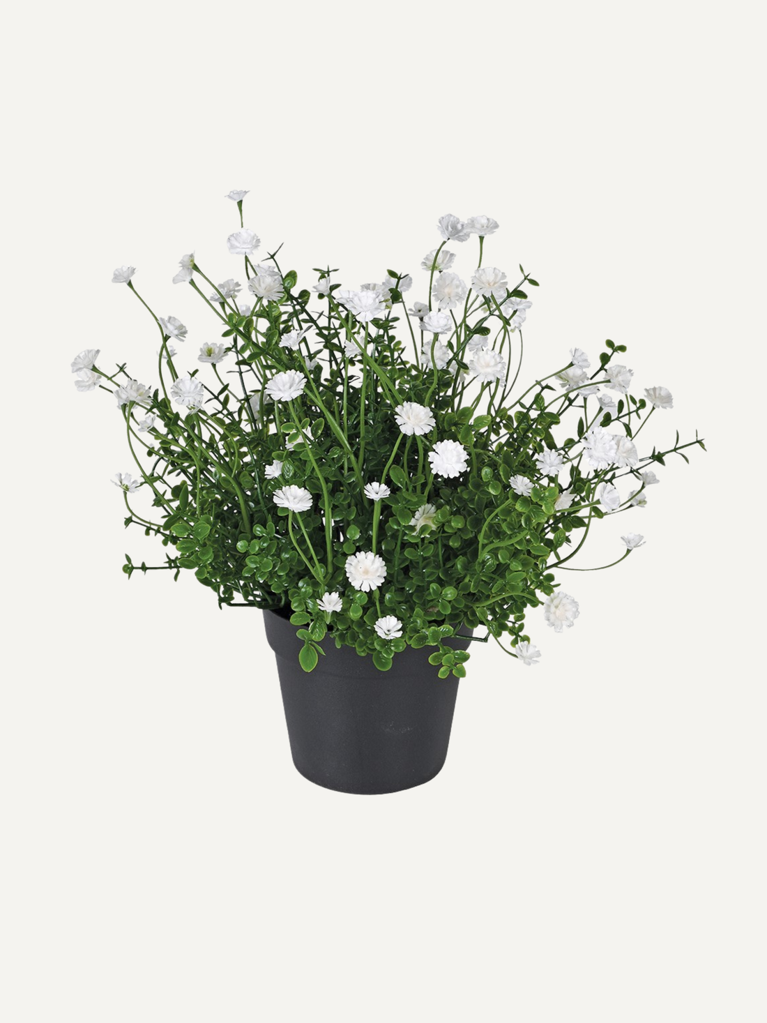 Faux potted plant with white flowers on a white background, perfect for home styling