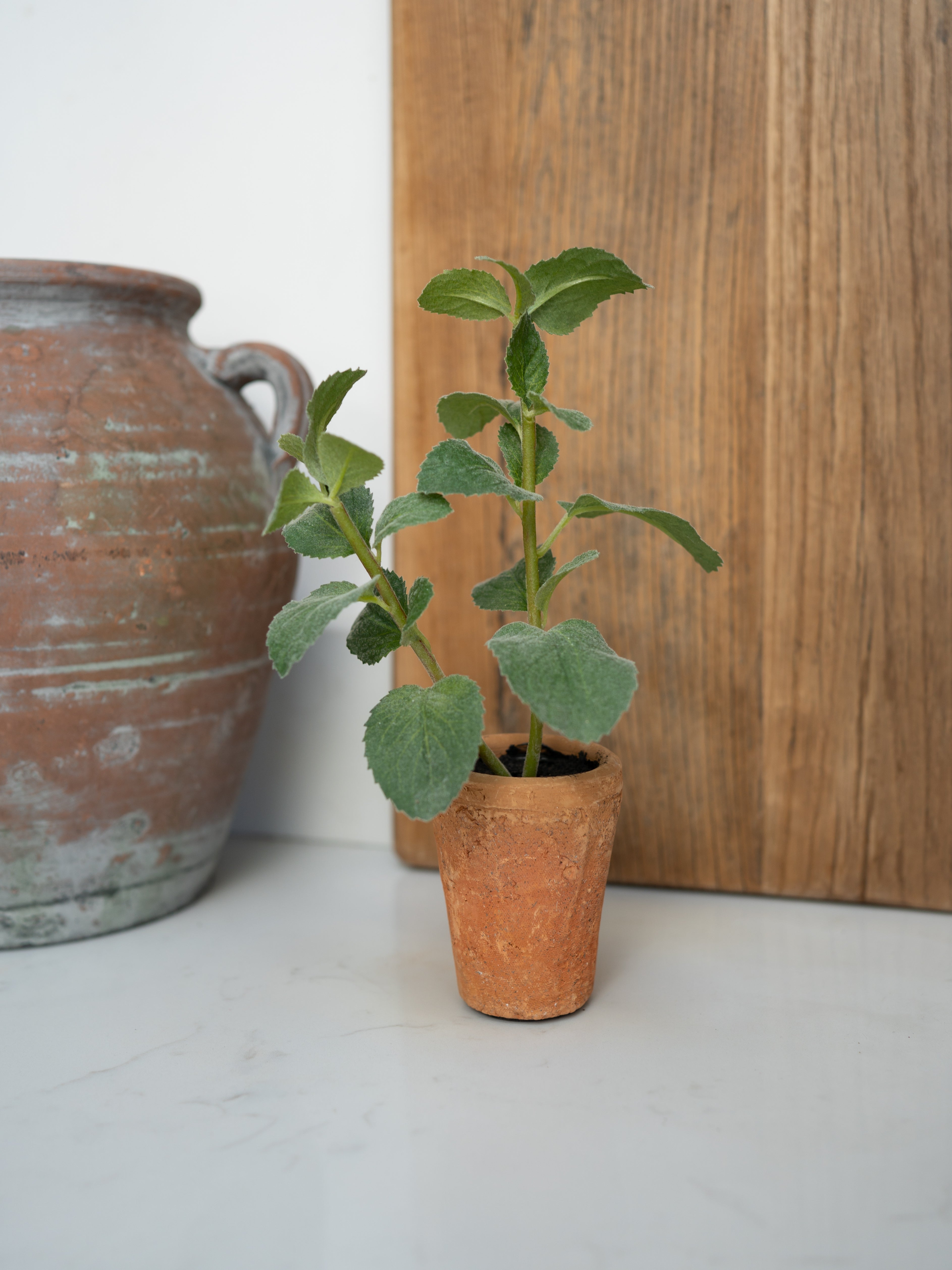 Small potted faux herb plant next to a terracotta pot on a light surface with a wooden board in the background.