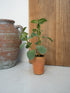 Small potted faux herb plant next to a terracotta pot on a light surface with a wooden board in the background.