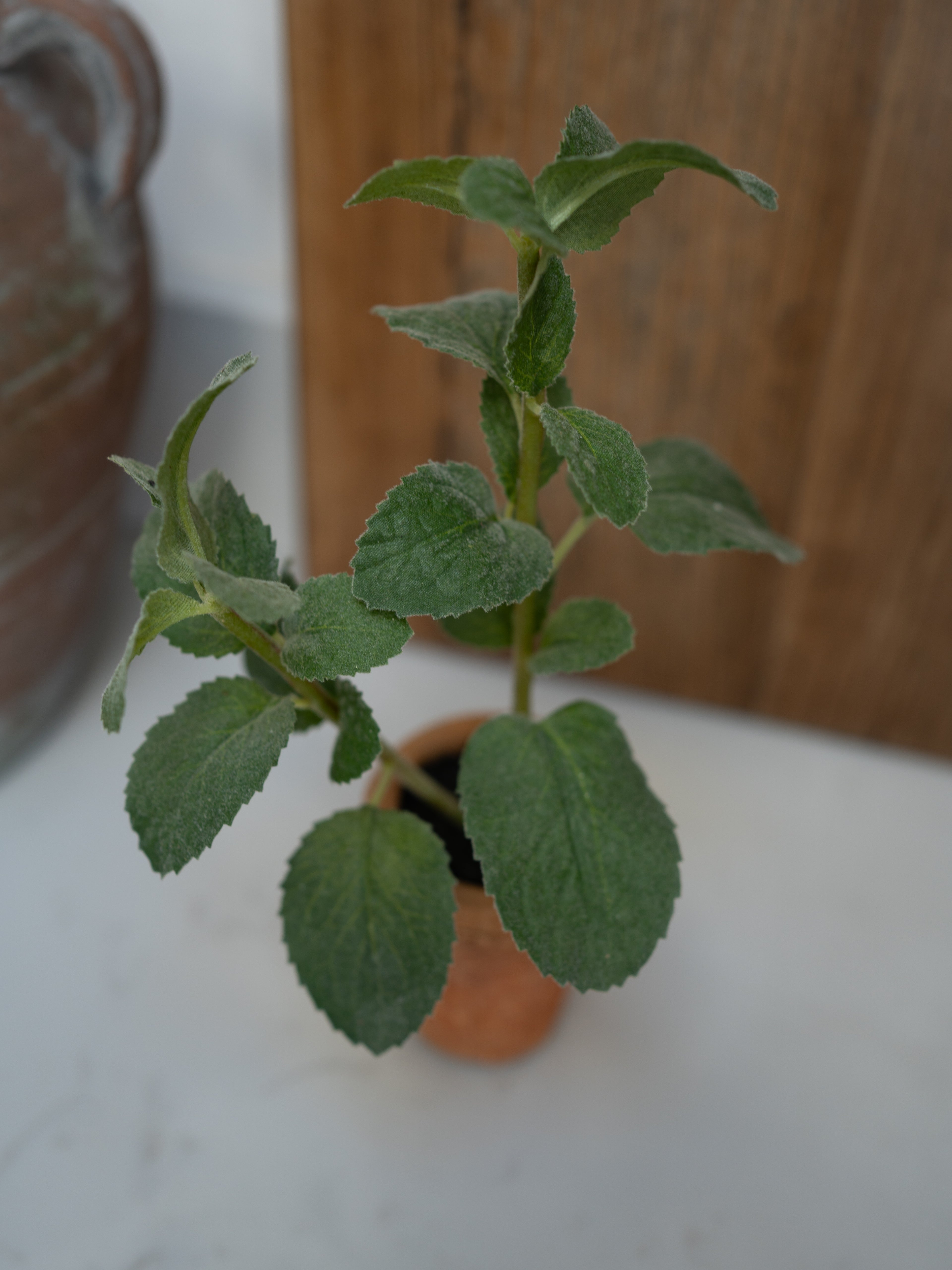 Small potted faux herb plant on a white surface with a wooden background