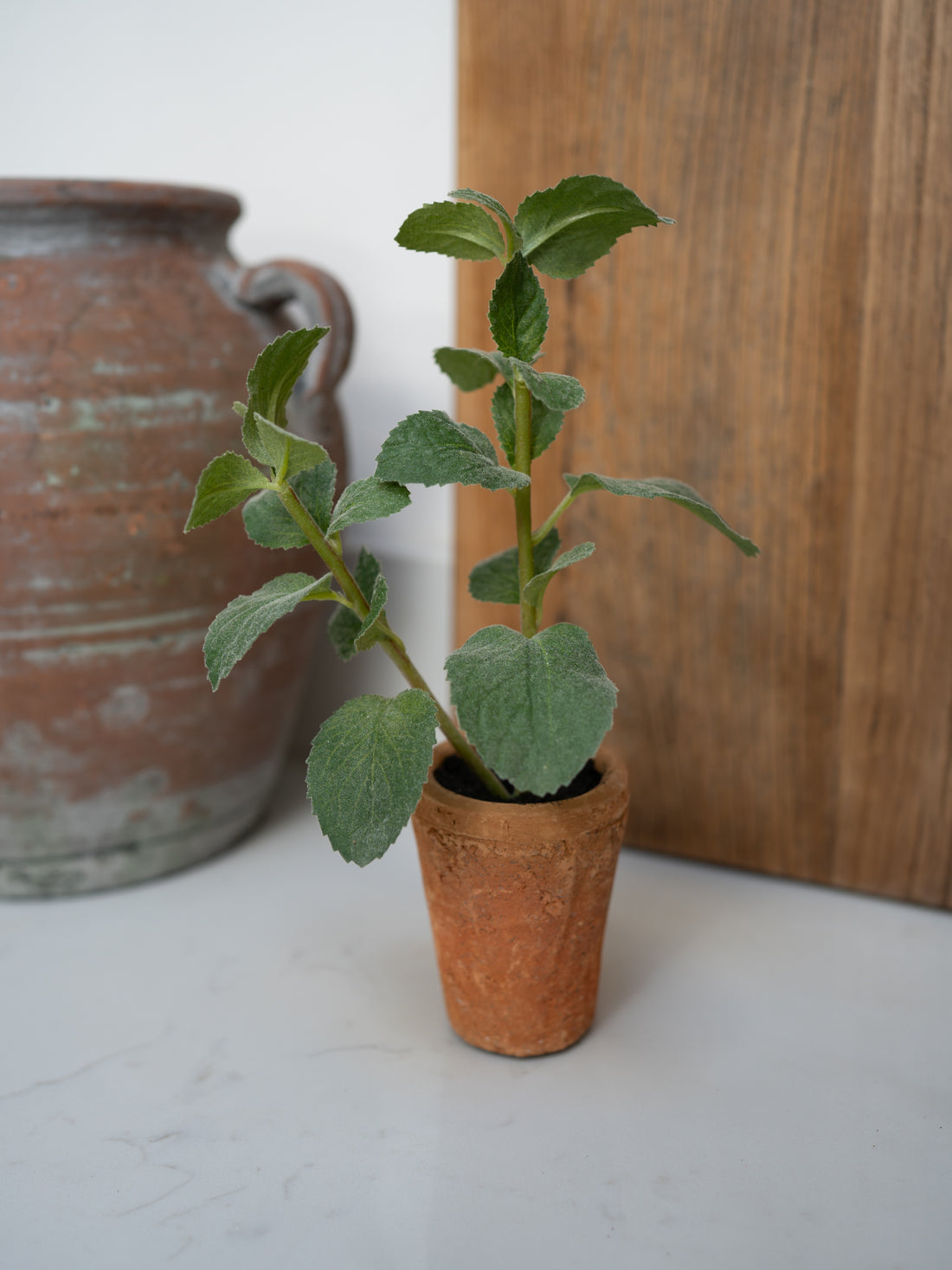 Small potted faux herb plant on a white surface with a wooden board and ceramic pot in the background.