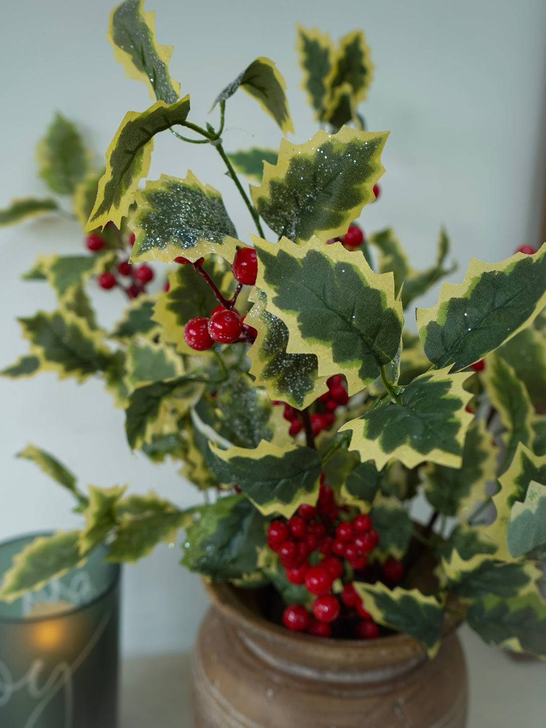 Potted plant with green leaves and red berries on a neutral background