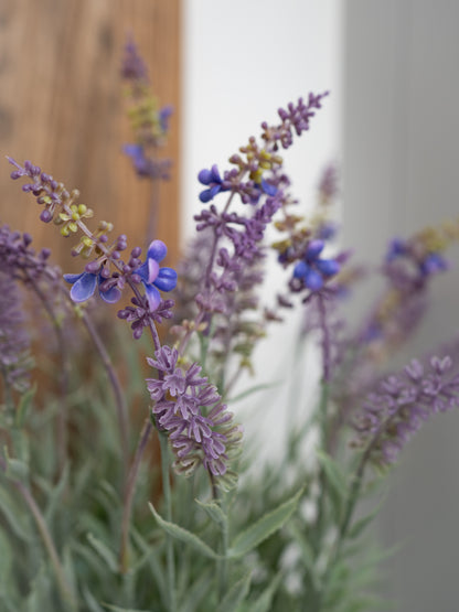 Close-up of faux lavender flowers with a blurred background