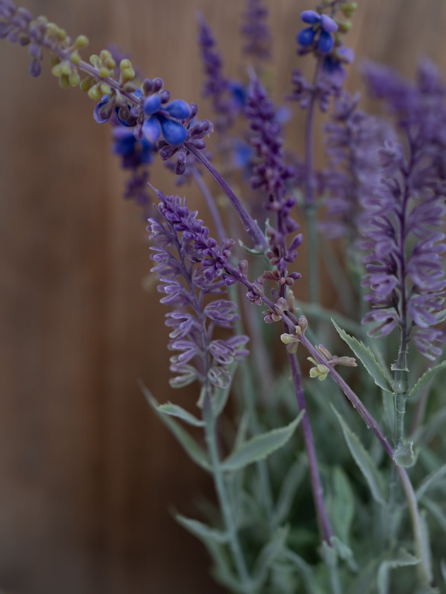 Close-up of faux lavender flowers with a blurred background