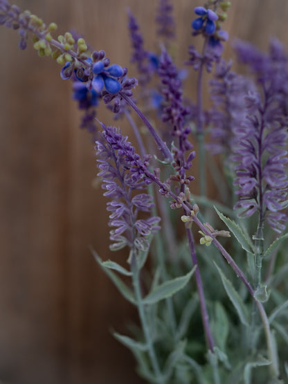 Close-up of faux lavender flowers with a blurred background