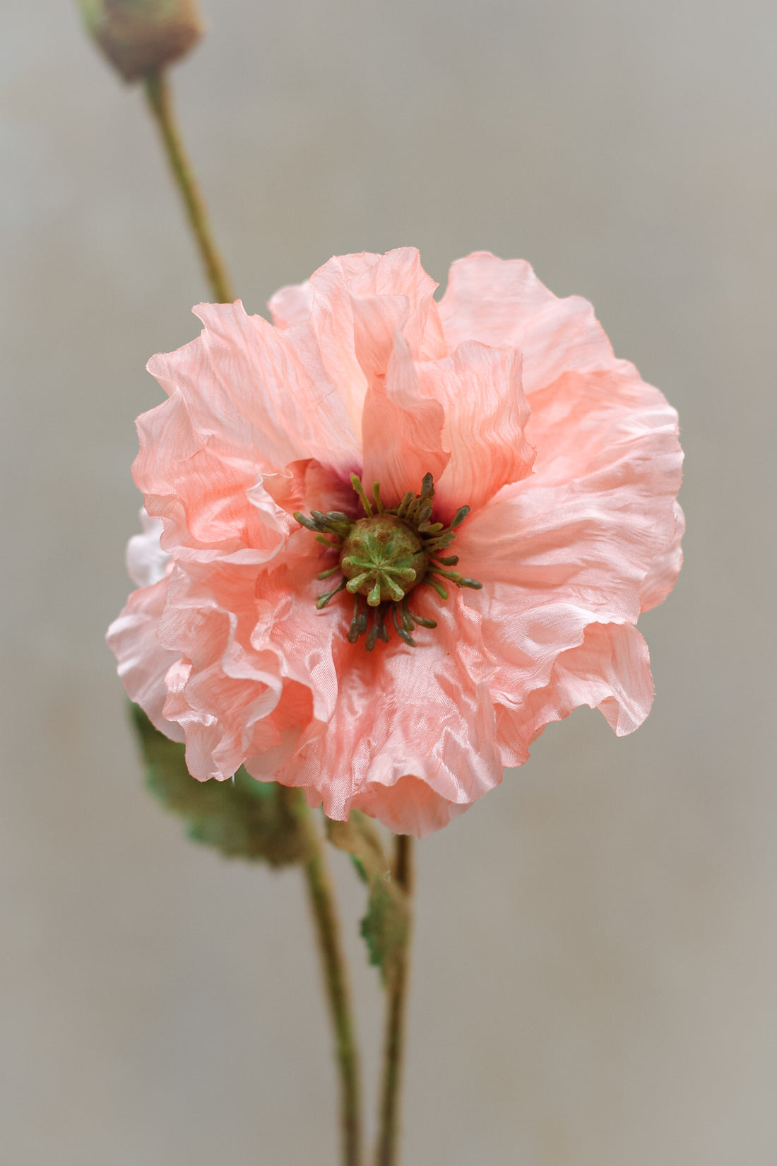 Faux Luxury Light Coral Poppy Spray