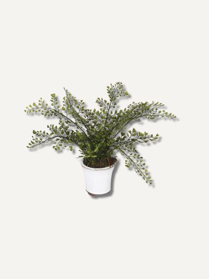 Faux Maiden Hair Fern Potted Plant