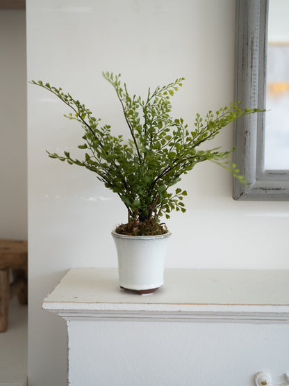 An artificial green fern plant in a white ceramic pot, displayed on a white wooden mantelpiece against a white wall.