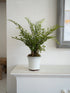 An artificial green fern plant in a white ceramic pot, displayed on a white wooden mantelpiece against a white wall.