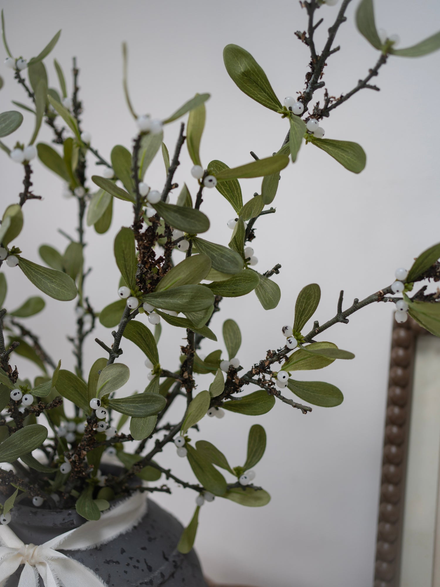 Potted plant with green leaves and small white berries on a neutral background