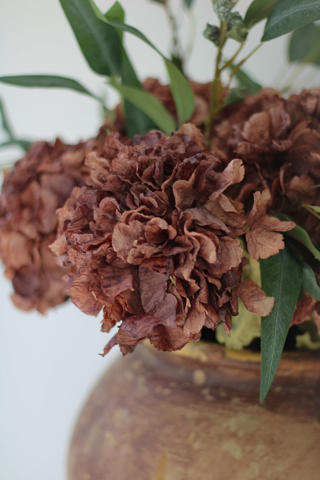 Faux Mocha Dried Ruffle Hydrangea