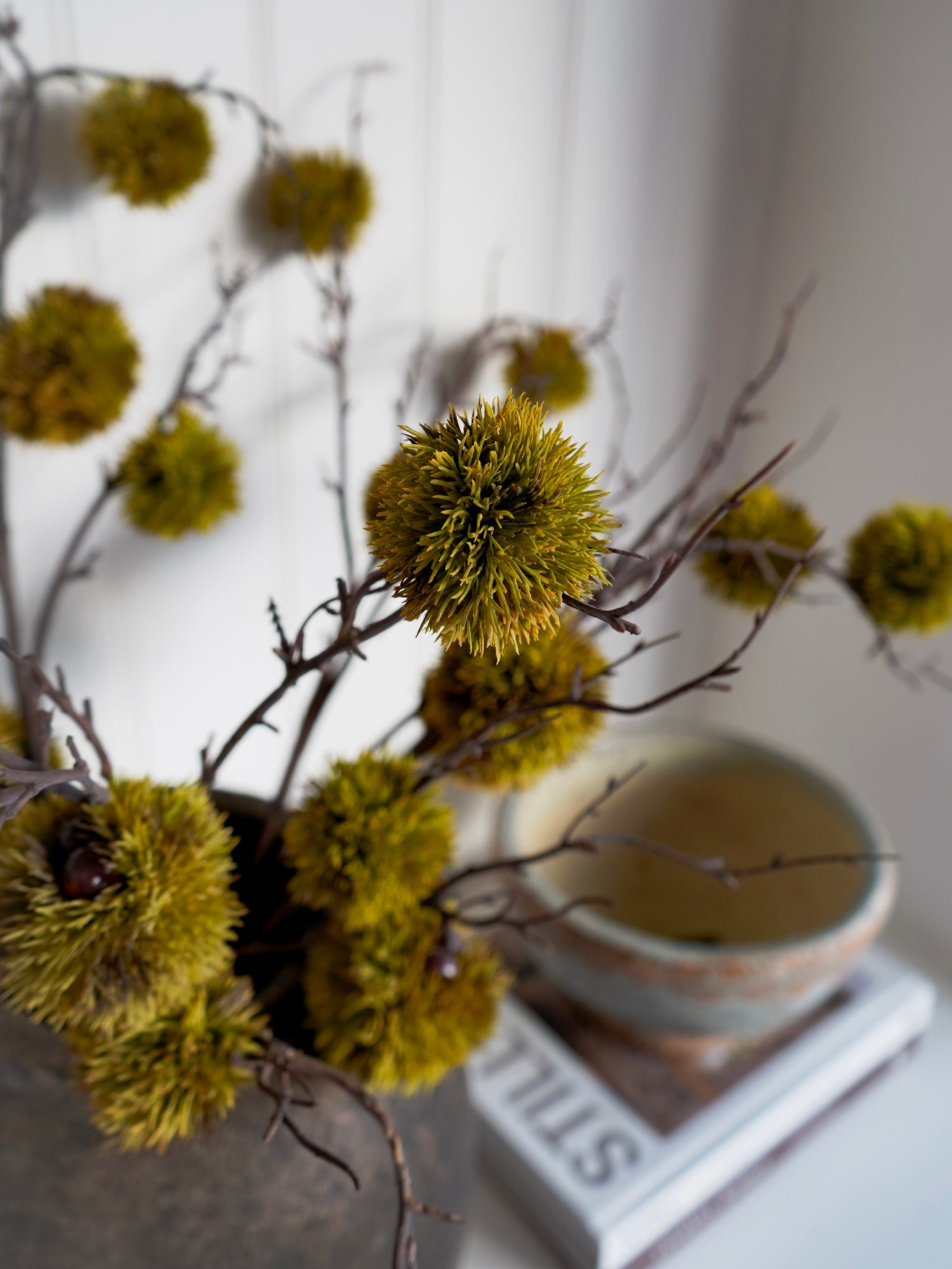Decorative arrangement of green spherical moss chestnut stems objects on branches with a blurred background