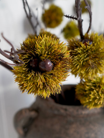 Close-up of chestnuts in a rustic setting with a blurred background
