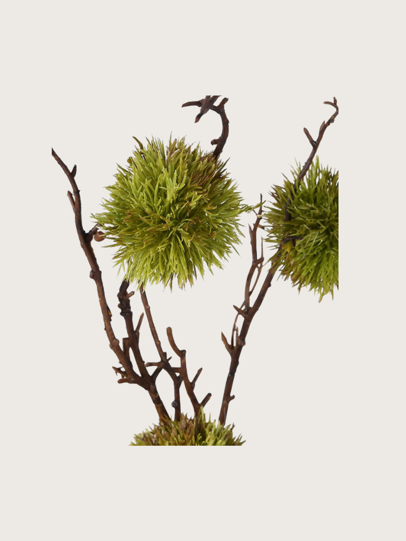 Decorative arrangement of branches with moss chestnut spherical elements on a light background