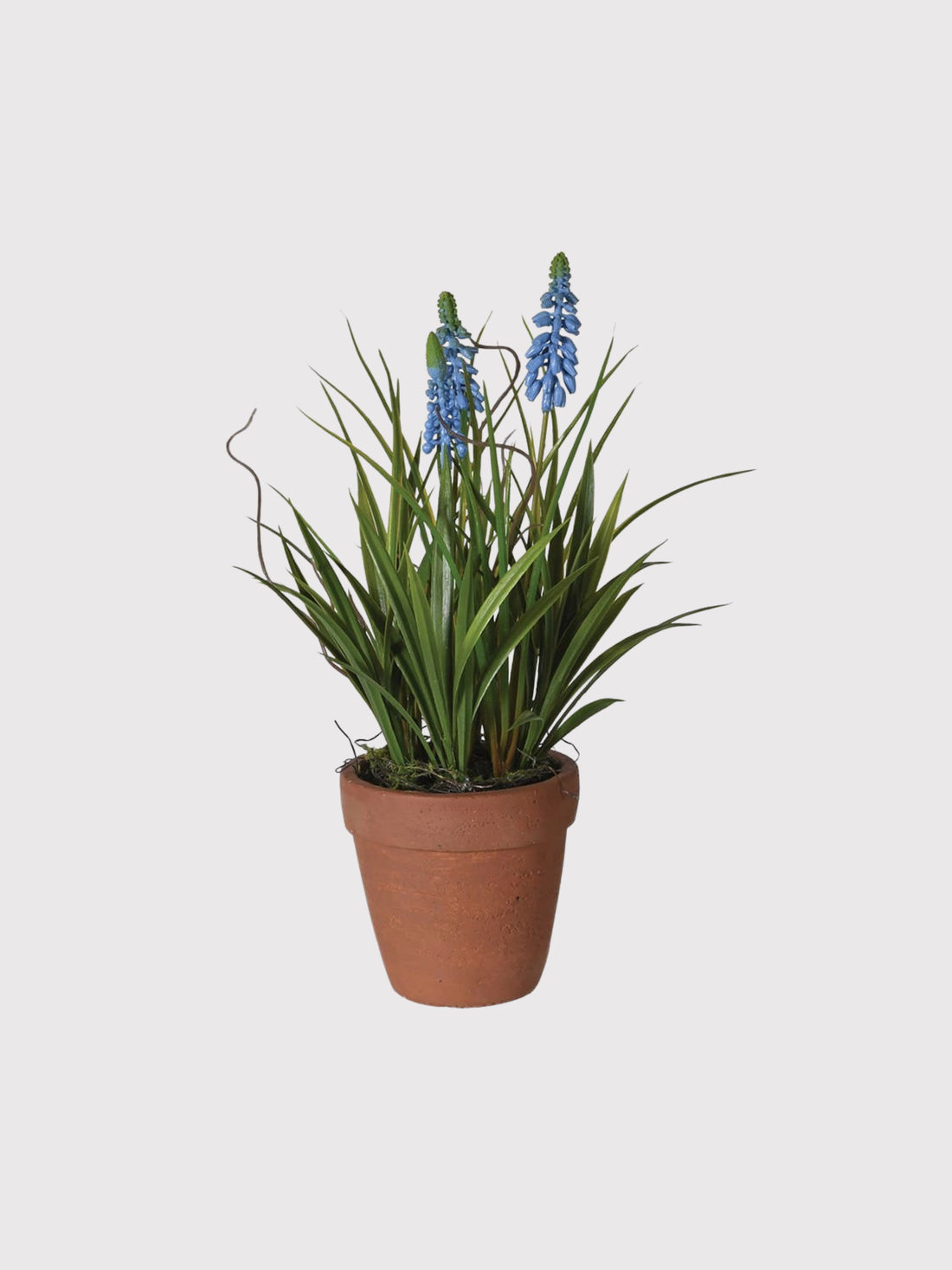 Potted faux plant with blue flowers on a light gray background