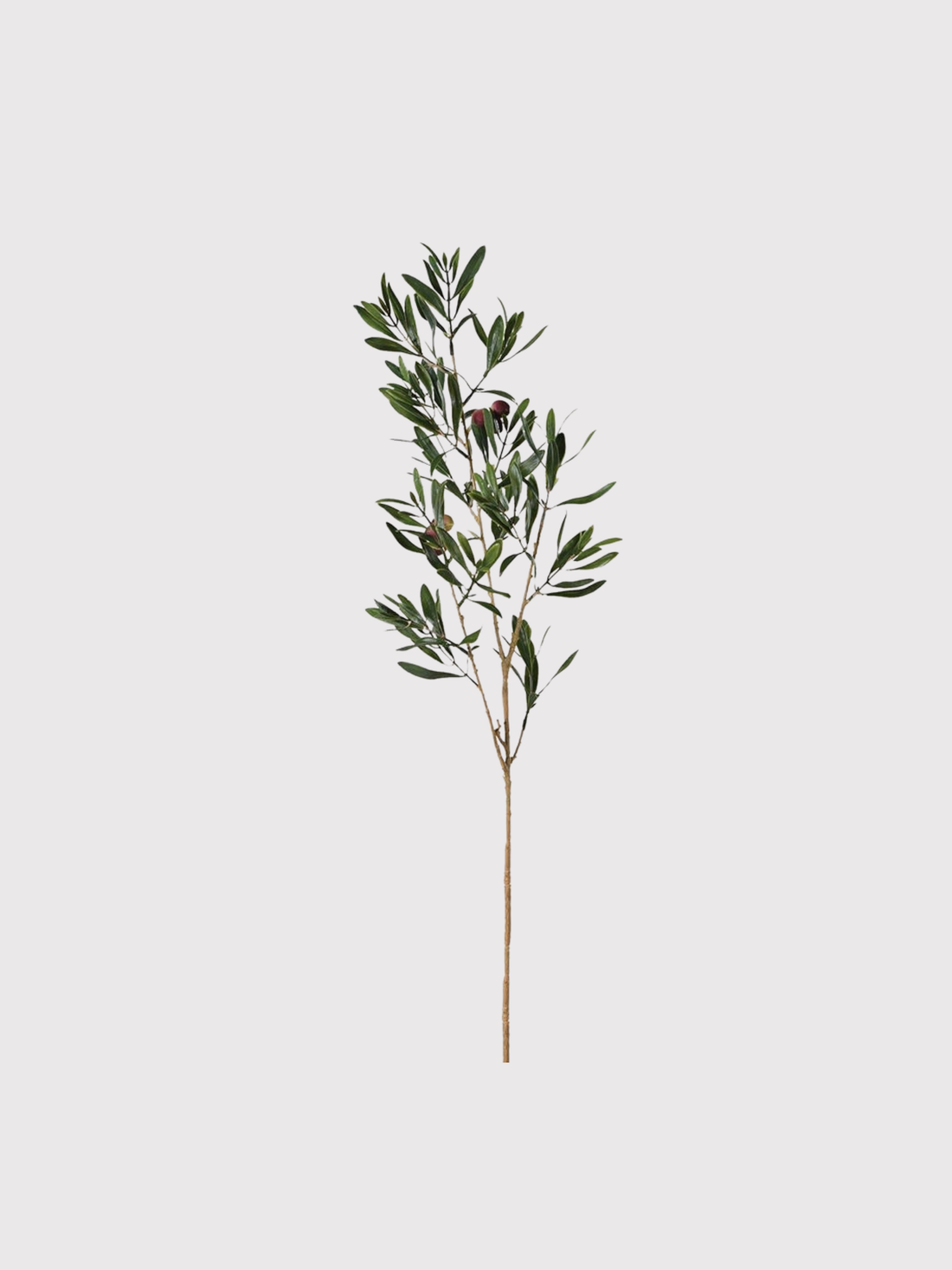Artificial olive branch on a white background
