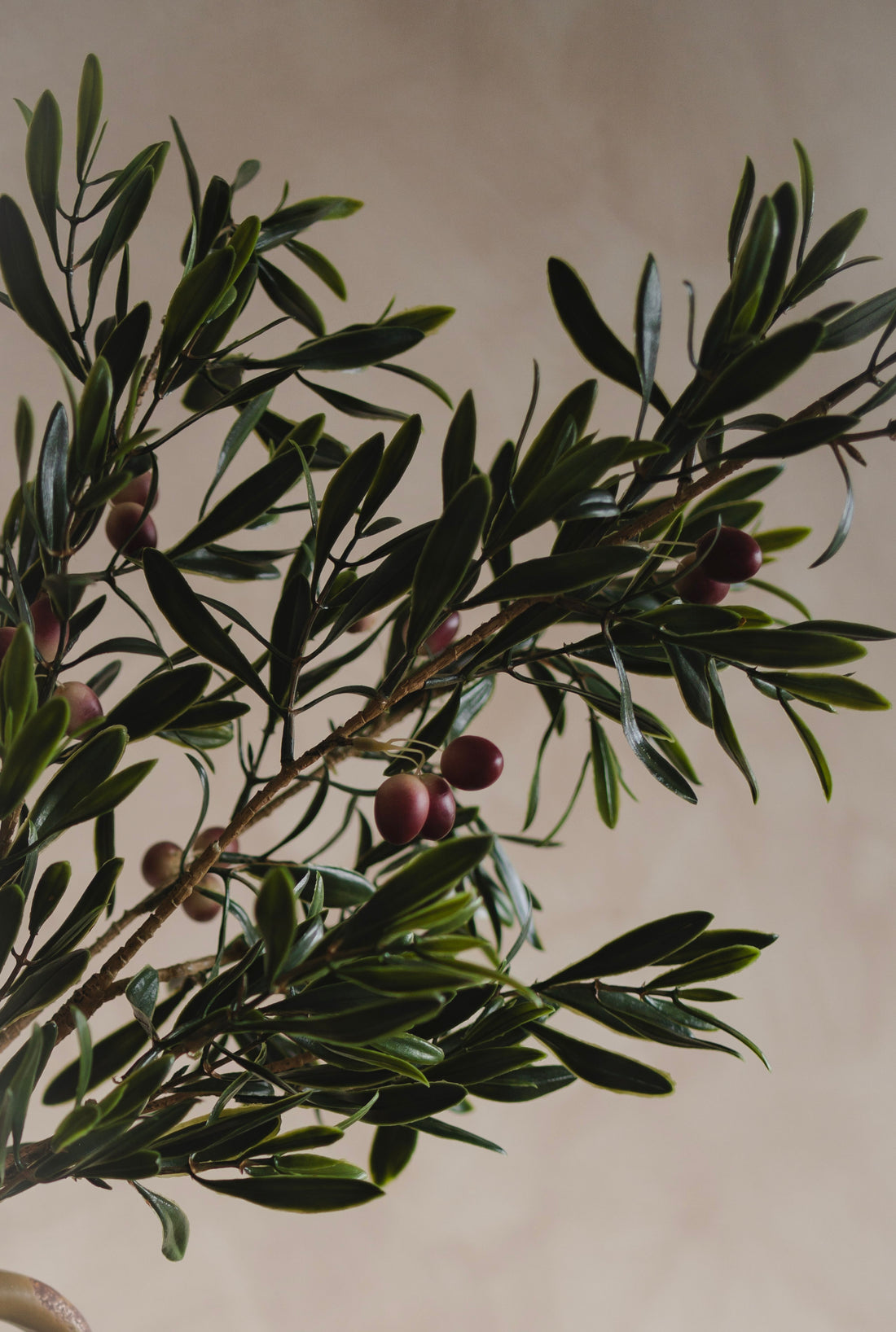 up close of faux natural olive spray