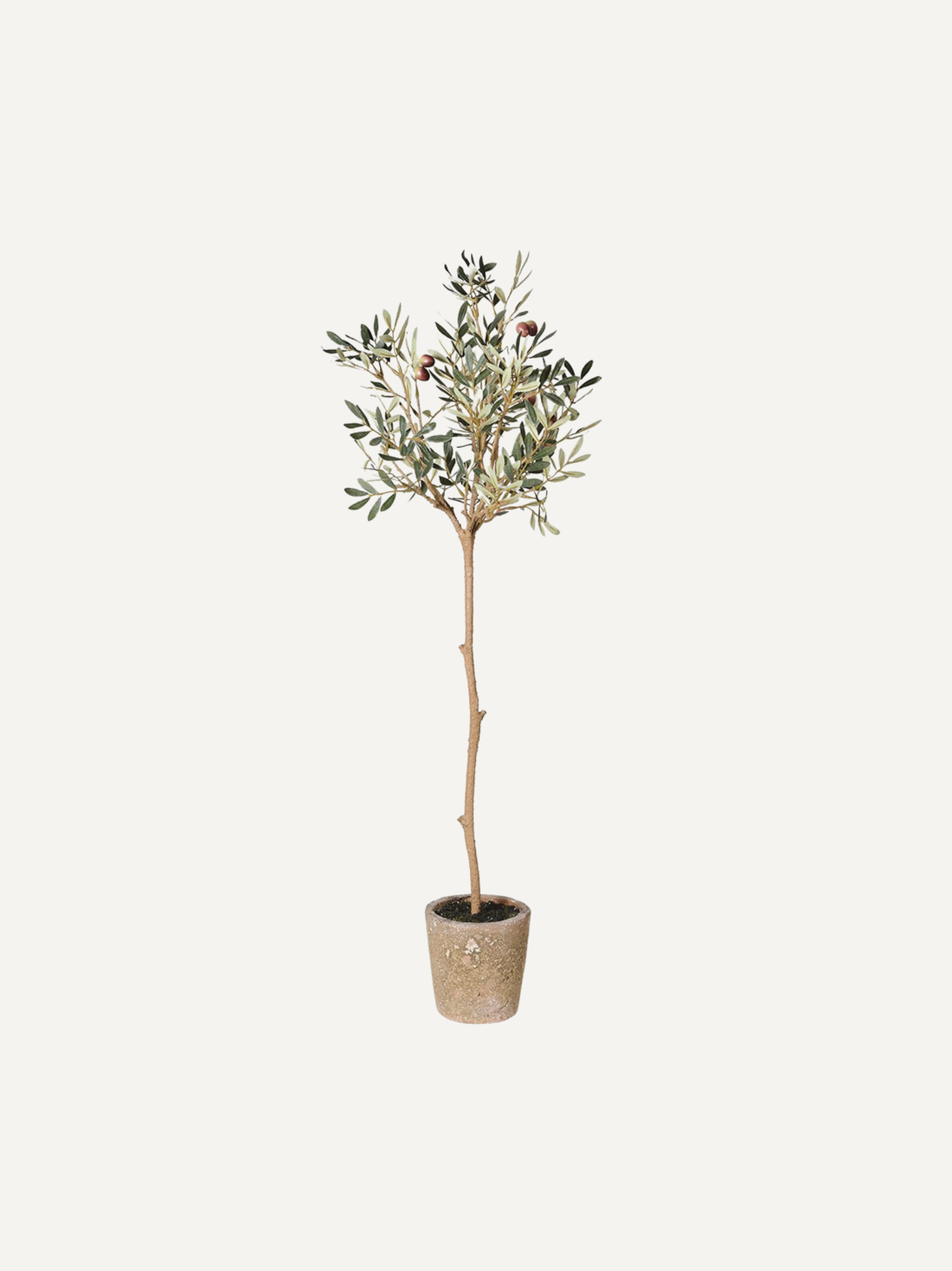 Faux Natural Olive Tree in Aged Pot