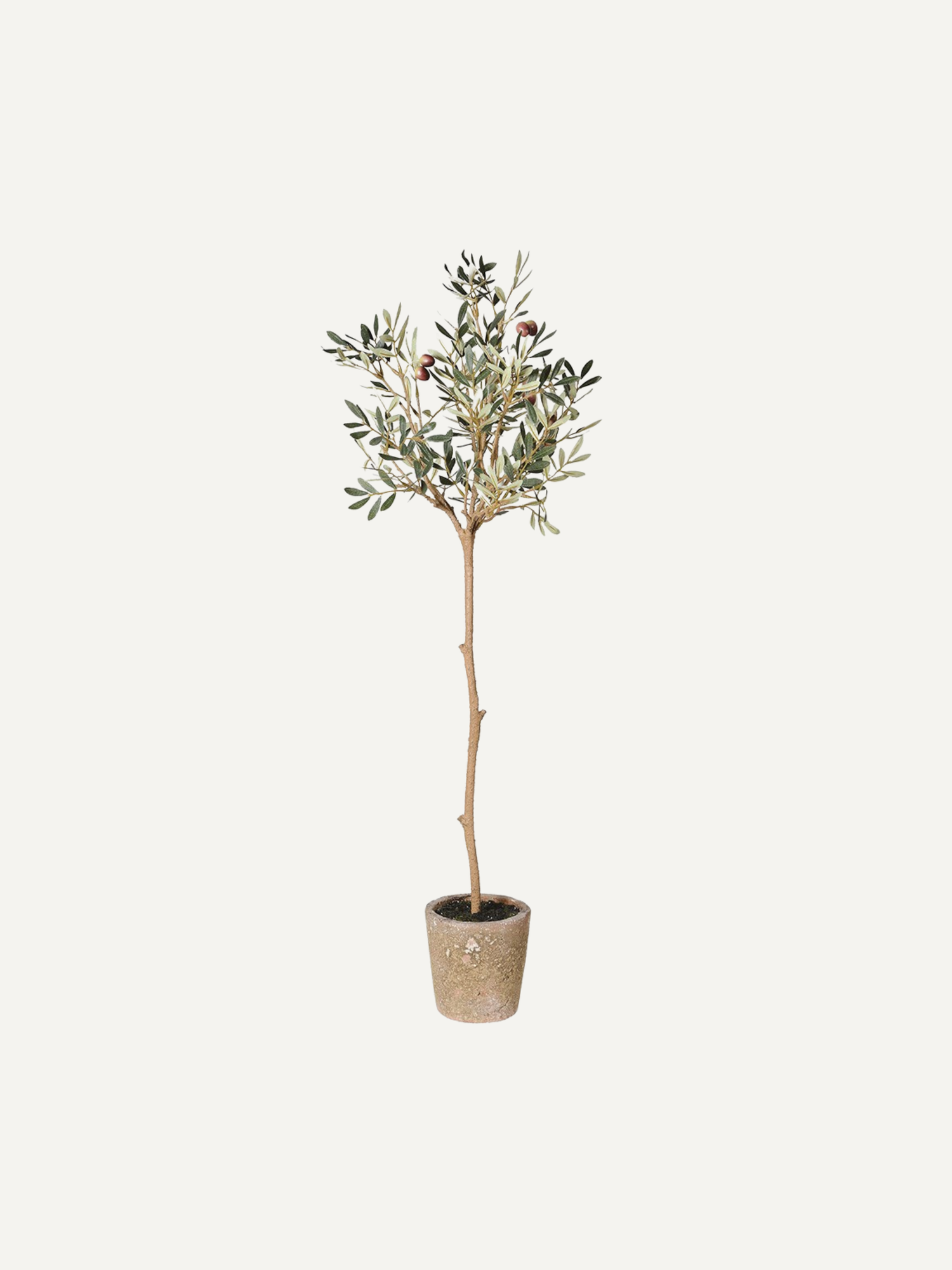Faux Natural Olive Tree in Aged Pot