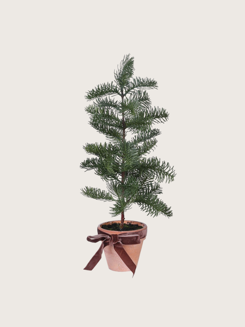 Potted Christmas tree with a brown ribbon on a light beige background