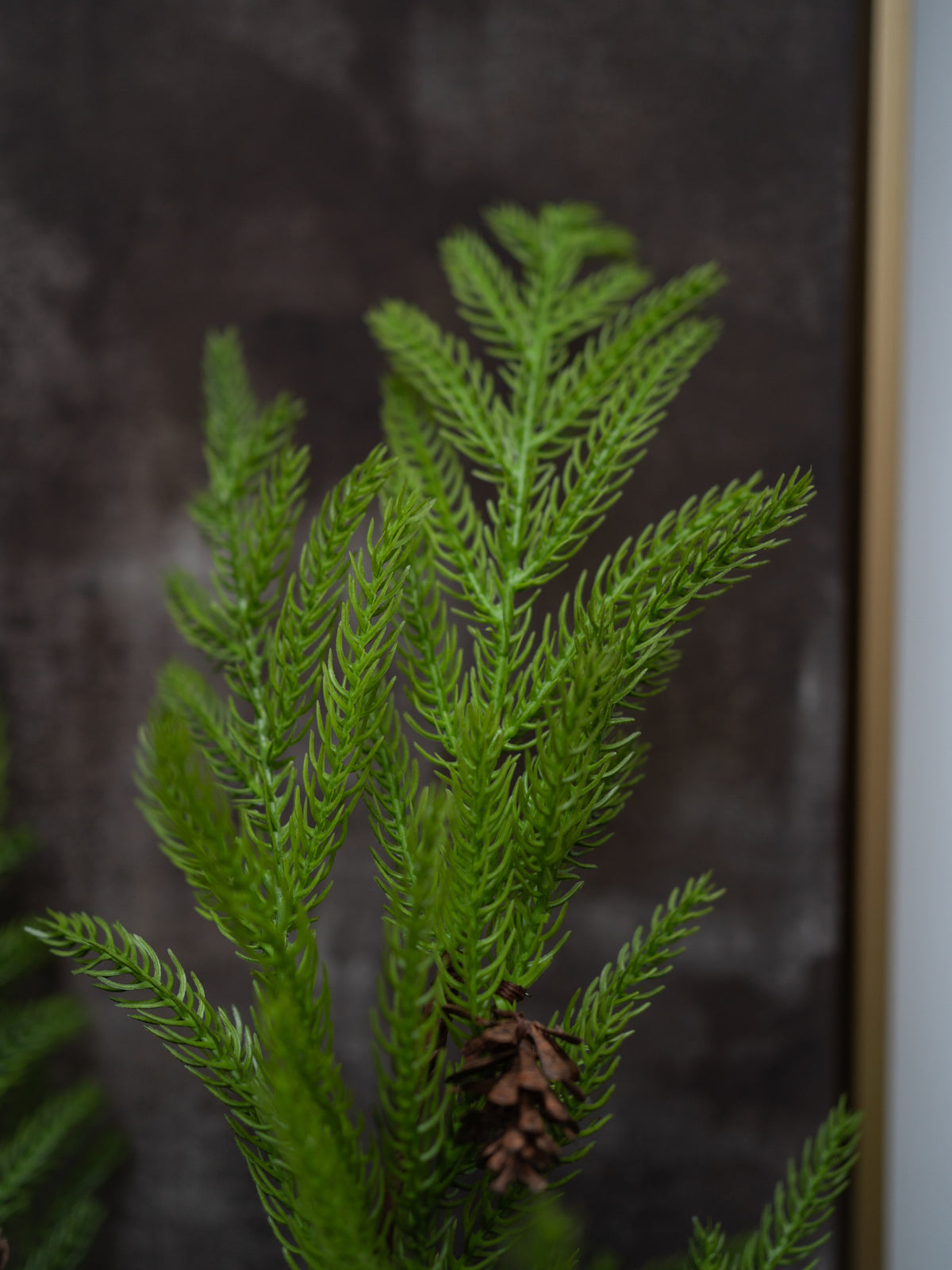 Faux Norfolk Pine, Red Berry &amp; Pinecone Branches Arrangement