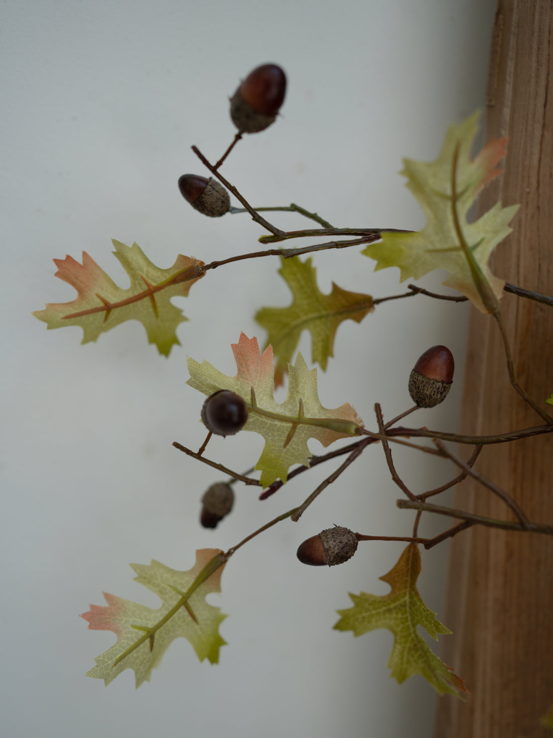 Artificial plant with green leaves and brown acorns against a neutral background