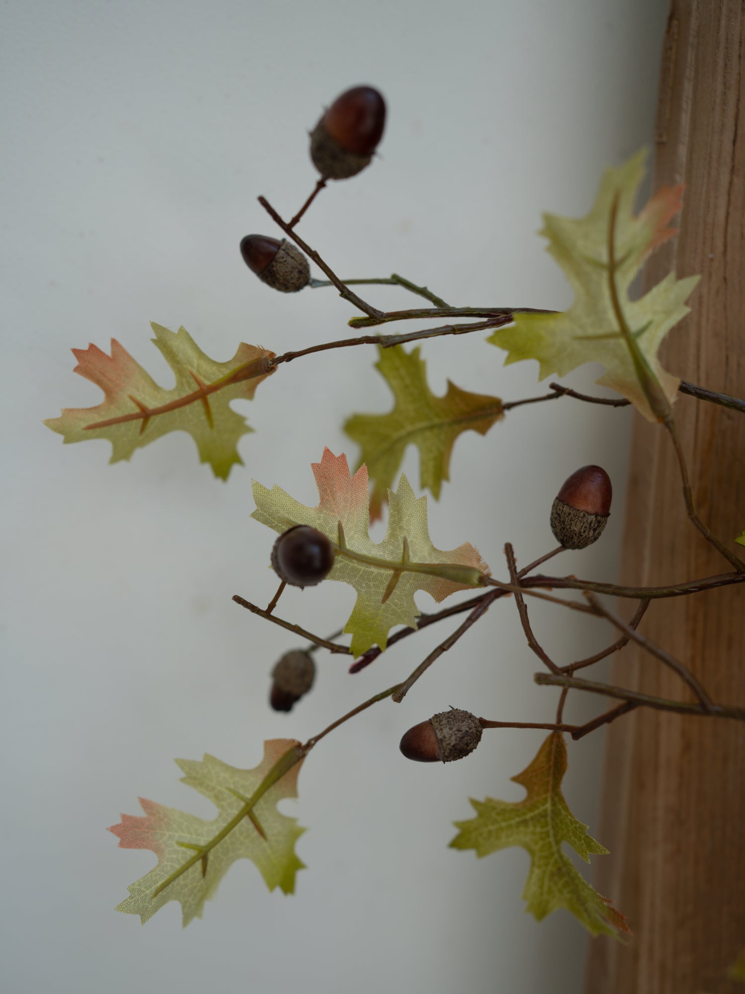 Artificial plant with green leaves and brown acorns against a neutral background