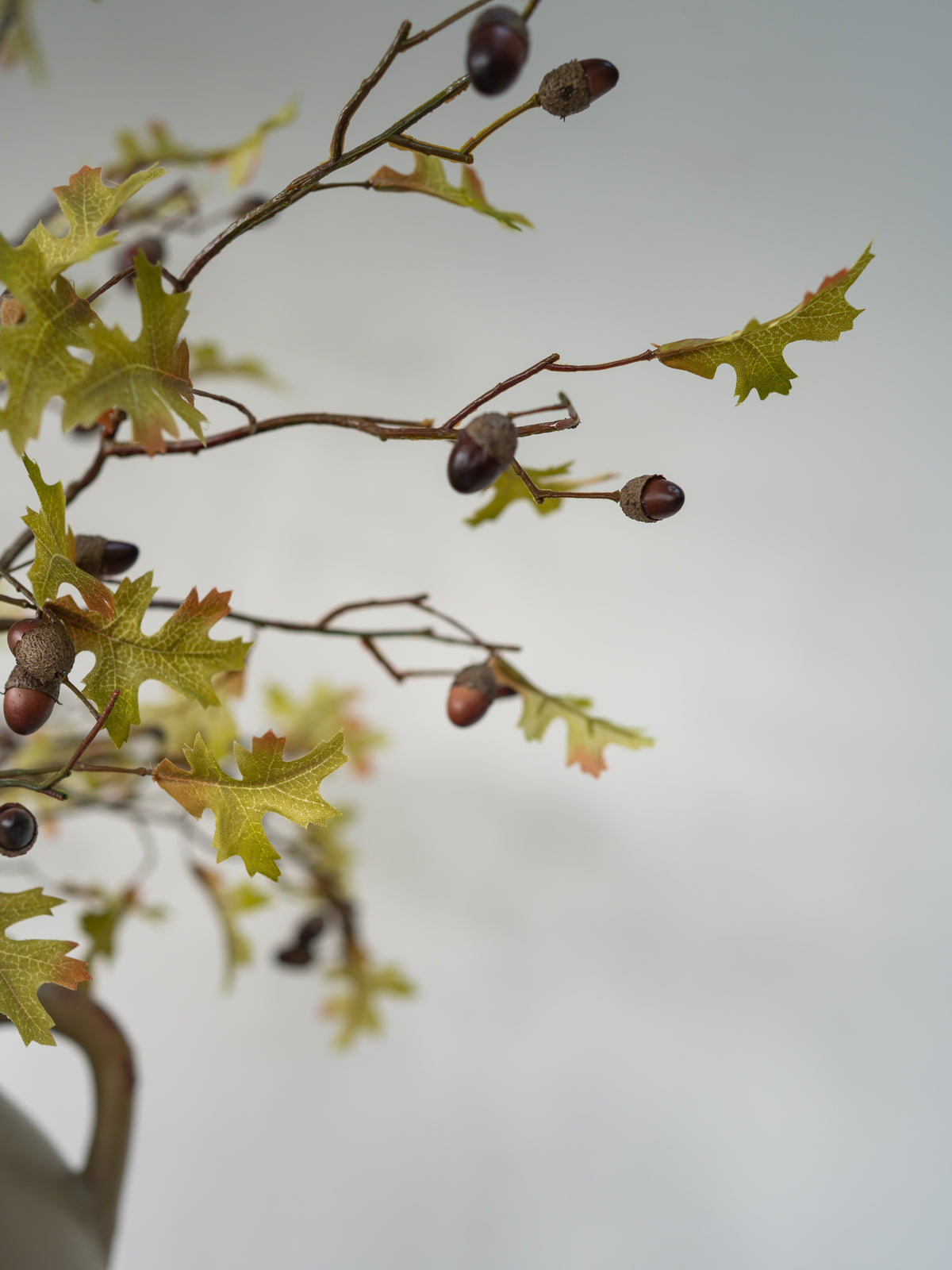 Autumn oak branch decoration with green and yellow leaves, brown acorns, and brown acorn caps against a soft gray background.