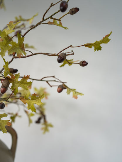 Autumn oak branch decoration with green and yellow leaves, brown acorns, and brown acorn caps against a soft gray background.