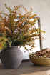 Autumn decorative arrangement with a potted plant and a bowl of pinecones on a surface.