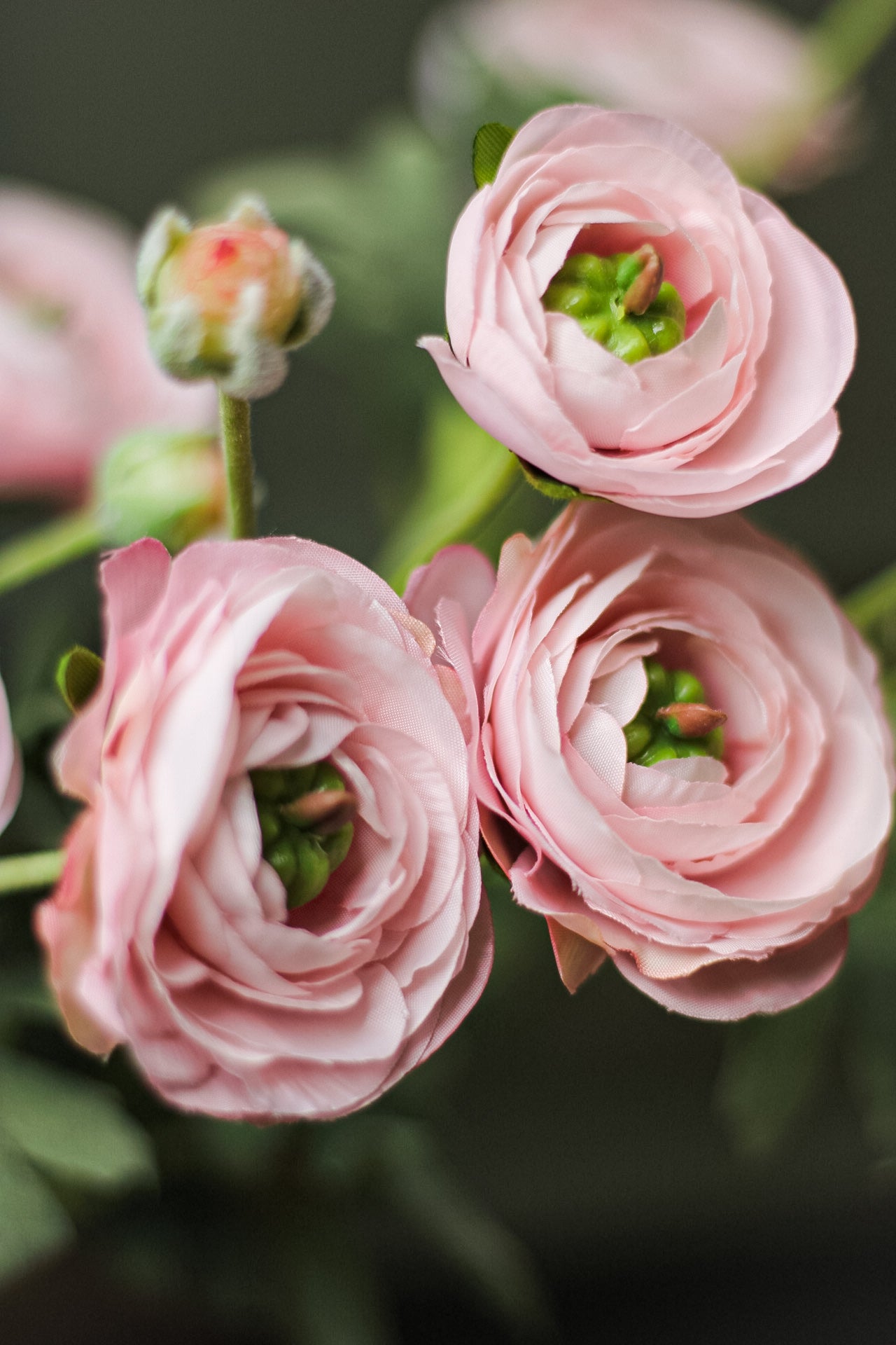 Faux Pale Pink Ranunculus Spray - Ivy Grey Interiors