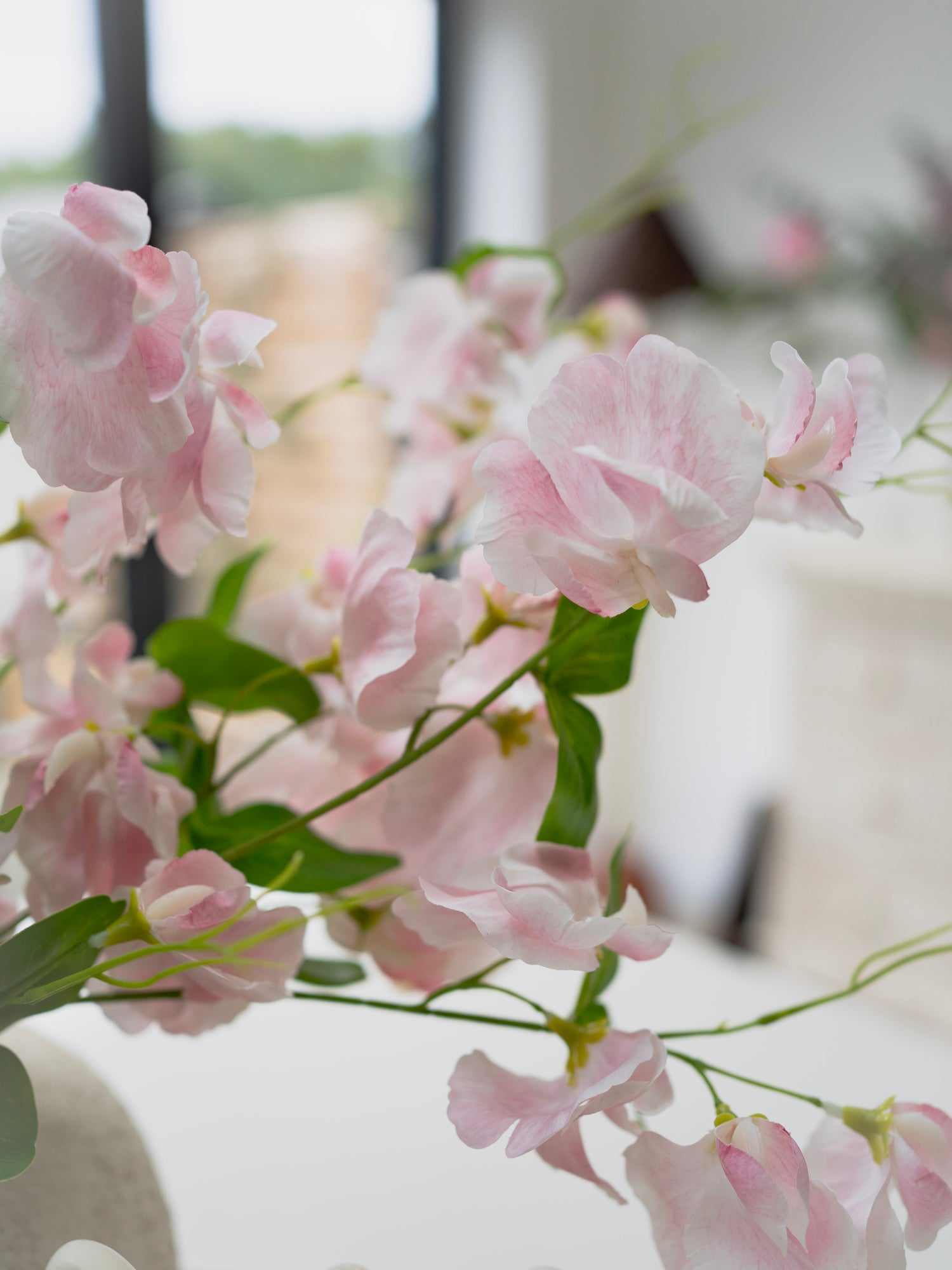 Close-up of pink sweet pea flowers with a blurred indoor background