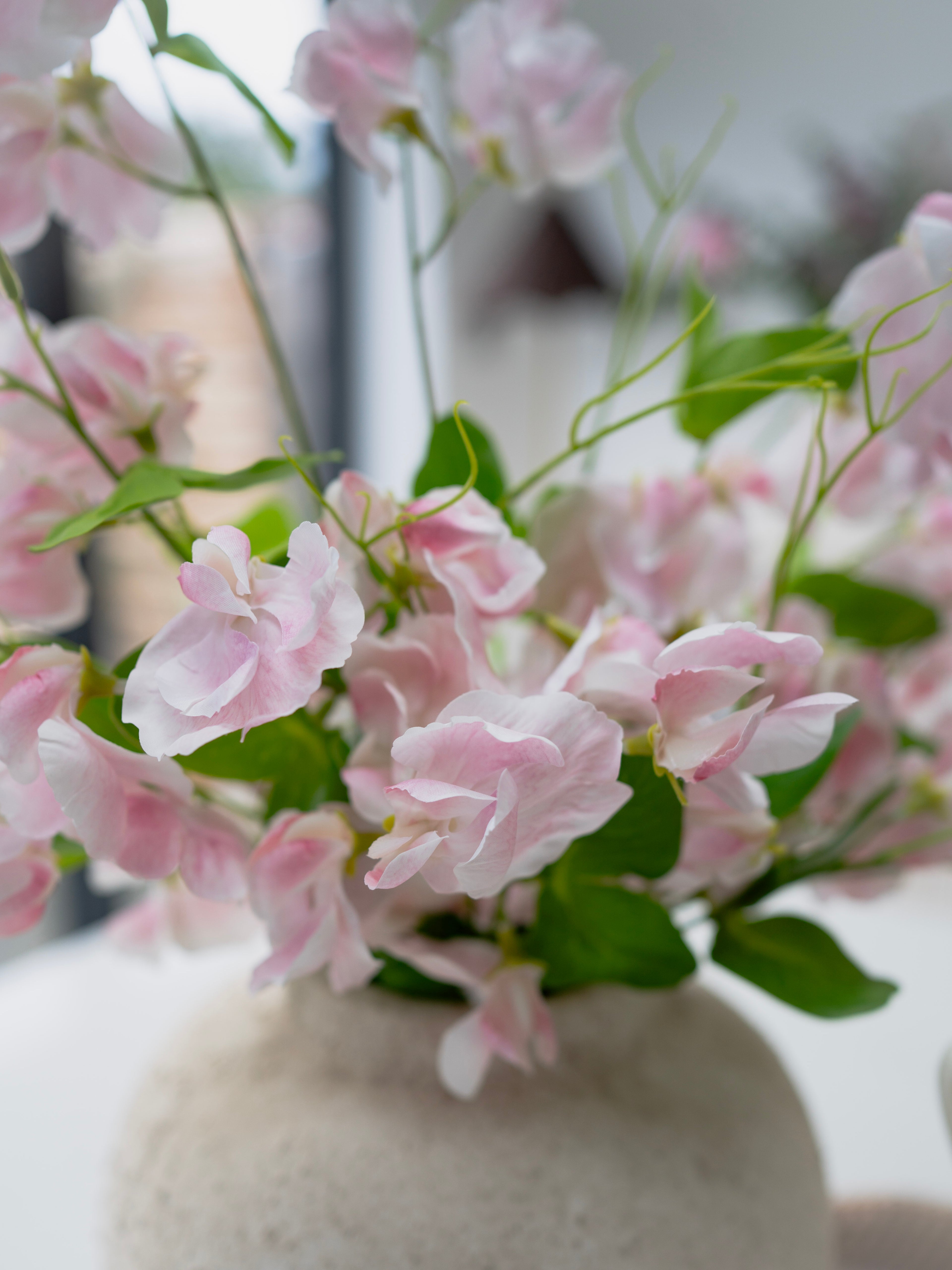 Pink flowers in a white vase on a blurred background