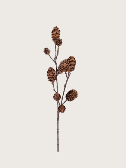 Branch with pine cones on a beige background