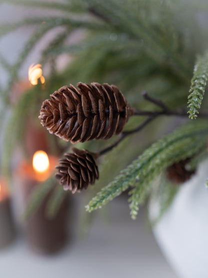 Two pine cones on a branch with blurred lights in the background
