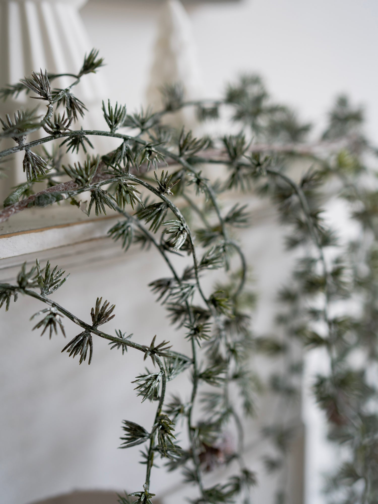 Close-up of a branch with small green leaves against a blurred background