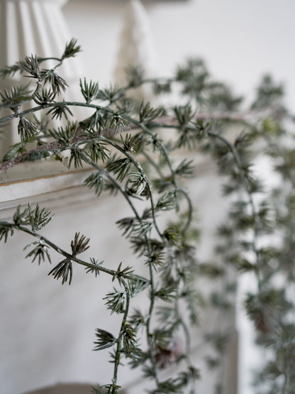 Close-up of a branch with small green leaves against a blurred background