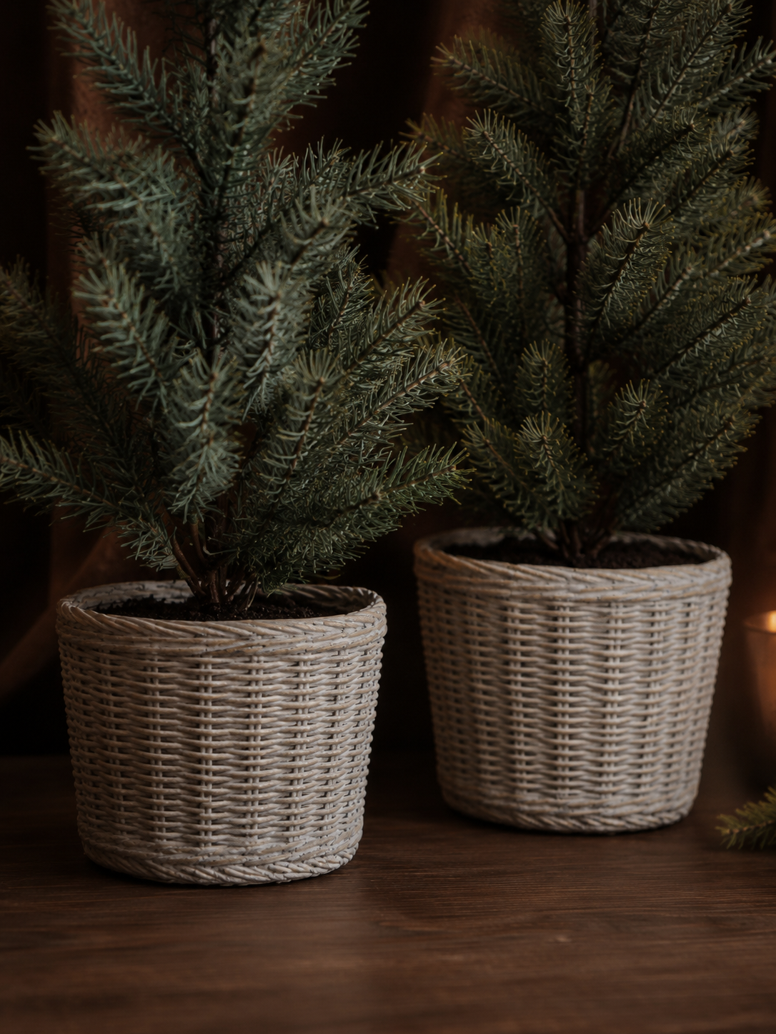 Faux Pine Tree In Wicker Effect Clay Pot