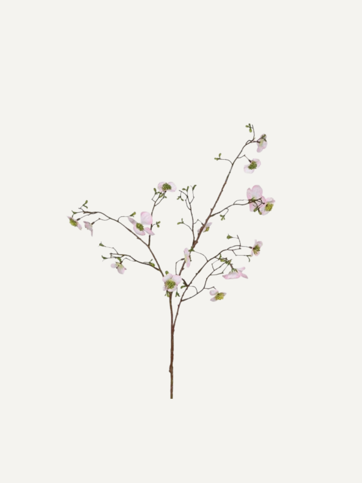 Artificial dogwood branch with pink flowers on a white background
