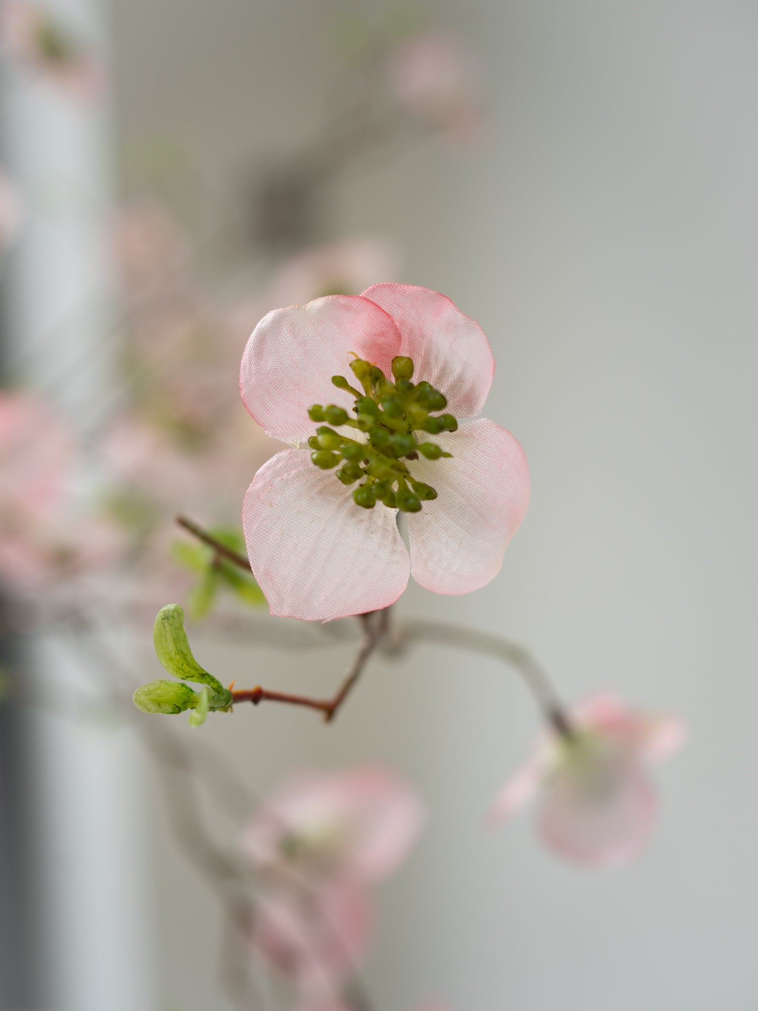 Close-up of a faux pink dogwood flower with a blurred background