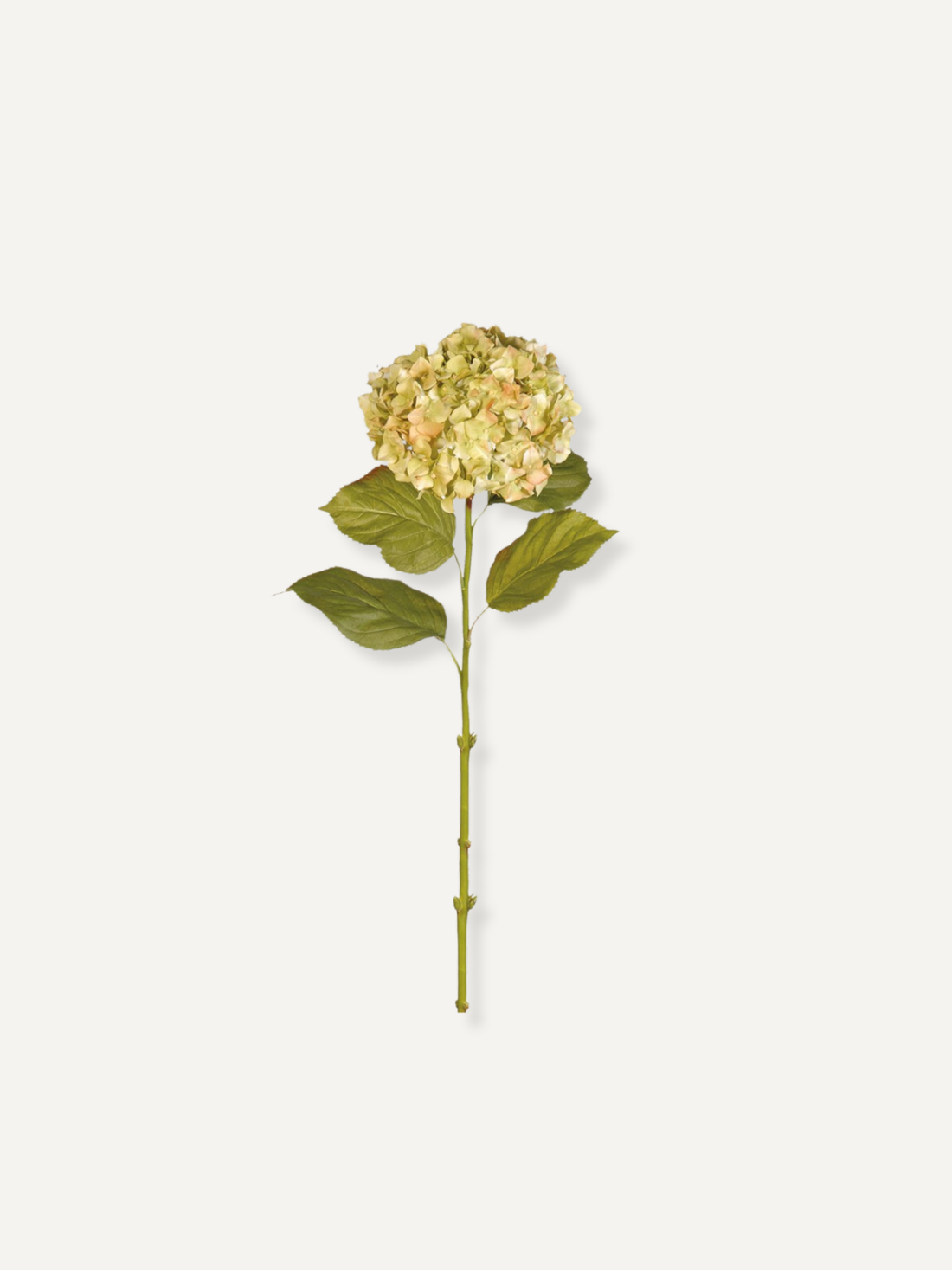 Faux Pistachio Hydrangea Stem