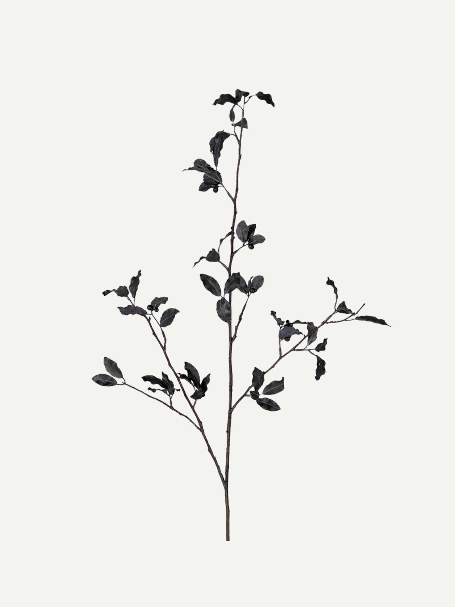 Faux Pittosporum Tom Thumb Spray