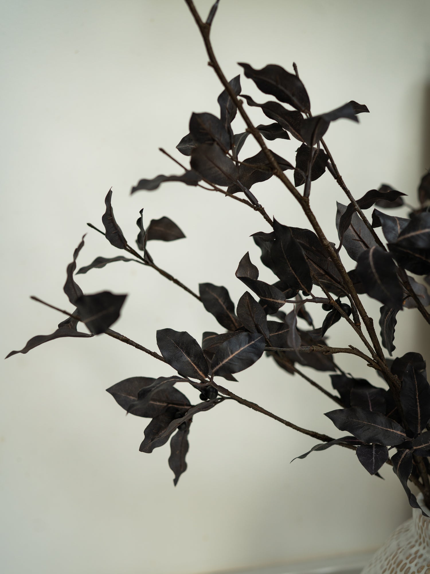 Dark Faux Pittosporum Tom Thumb Spray on branches against a light background