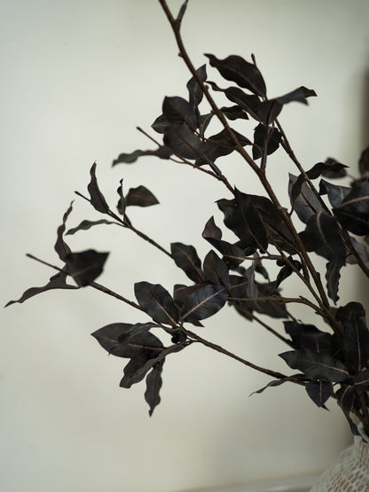 Dark Faux Pittosporum Tom Thumb Spray on branches against a light background
