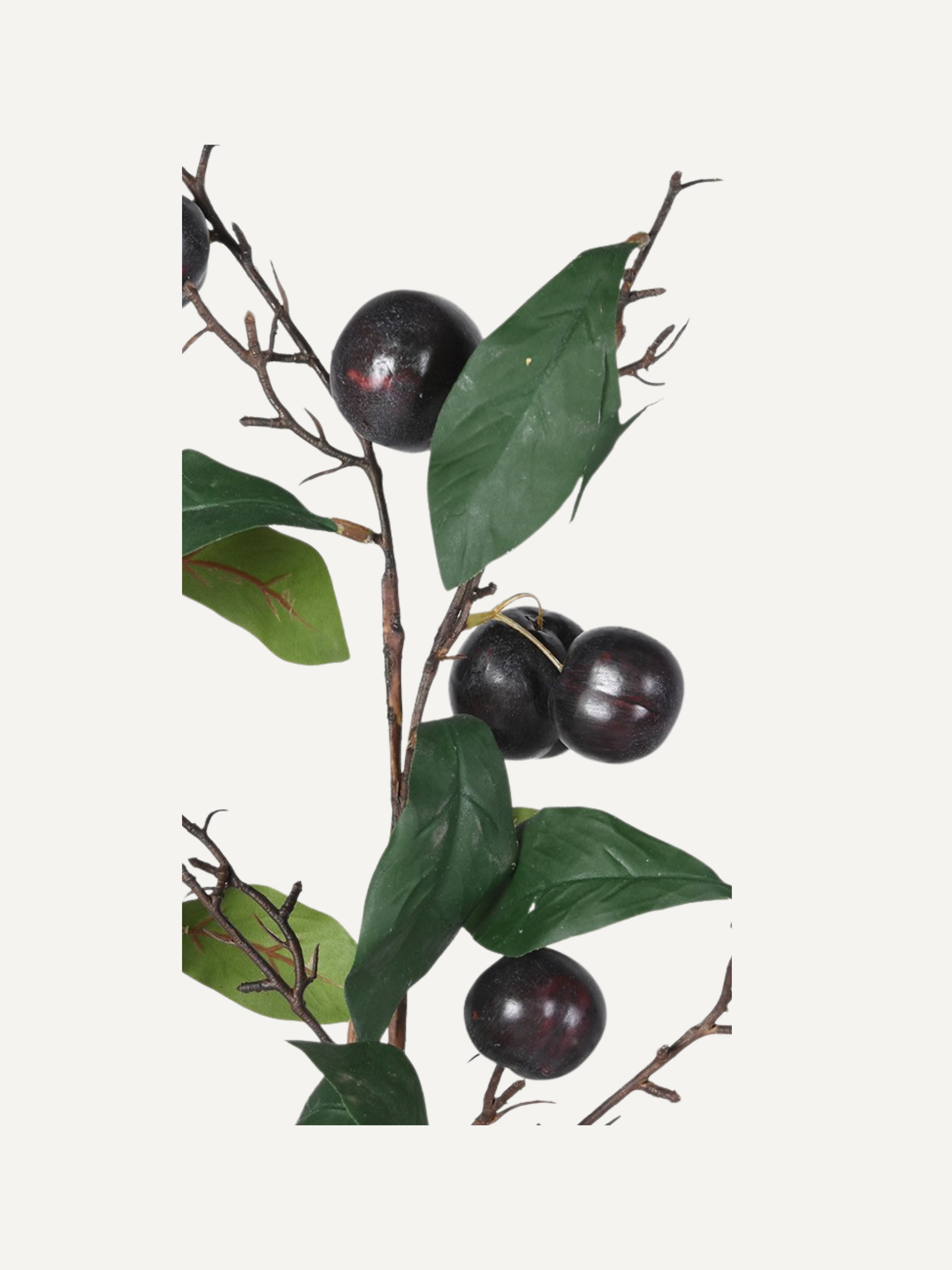 Artificial faux foliage stem with dark plums and green leaves on a white background