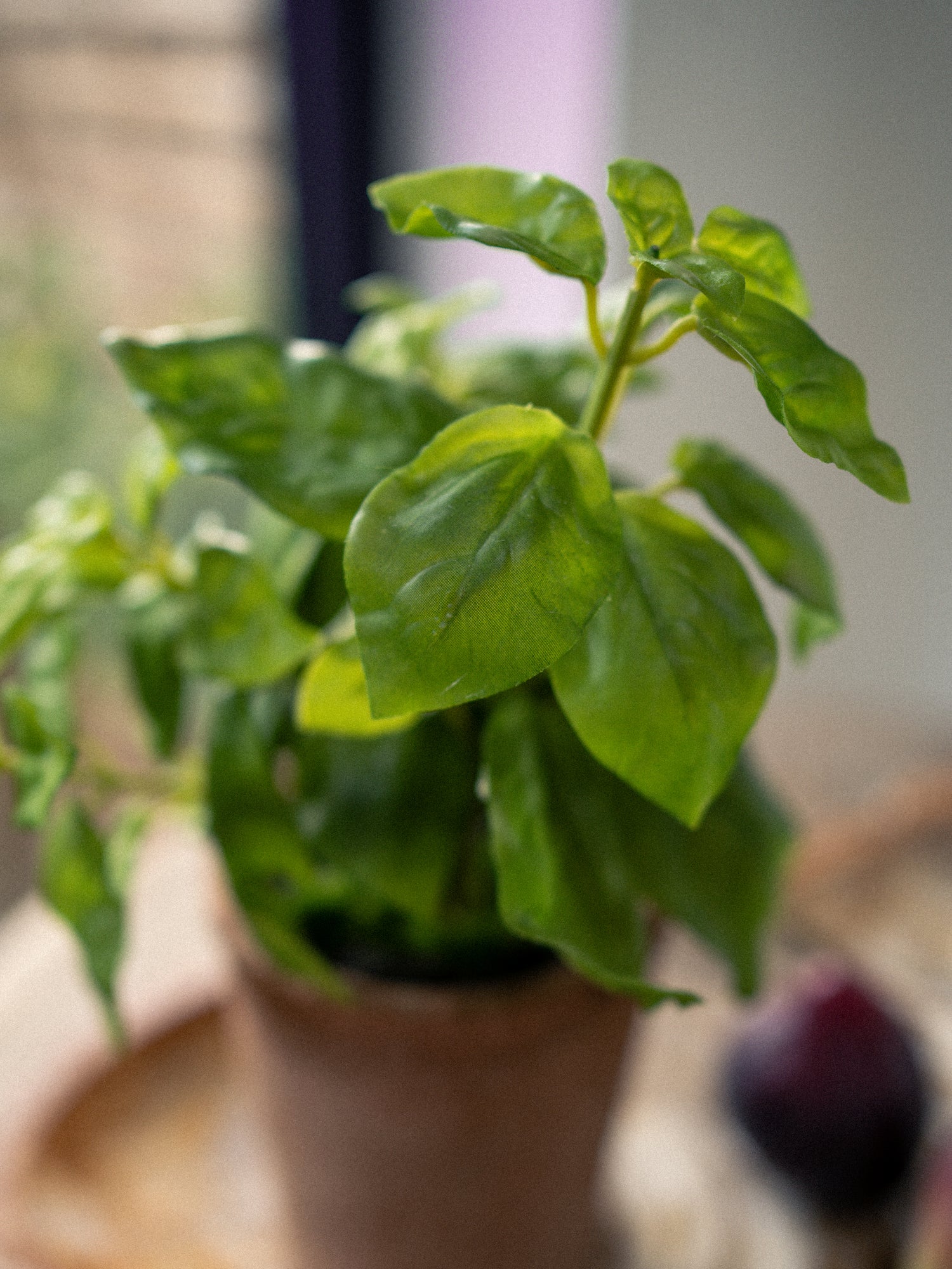 up close of Faux Potted Basil Plant in Terracotta Pot