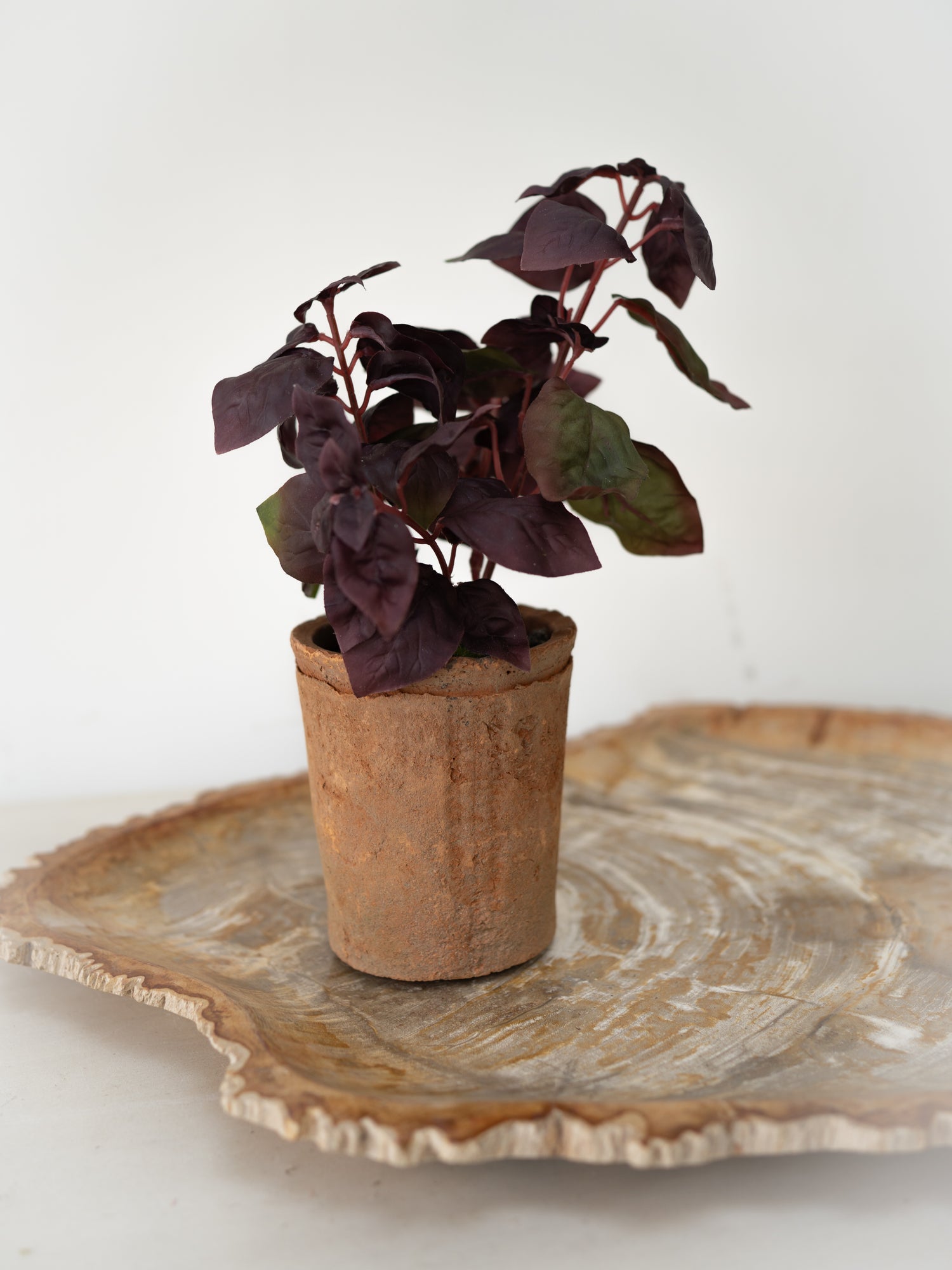 Small faux potted plant on a decorative wooden tray with a white background